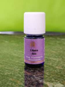 Litsea